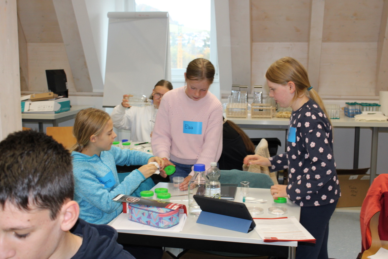 Die SchülerInnen experimentieren gemeinsam für die erste Runde der Internationalen Science Olympiade